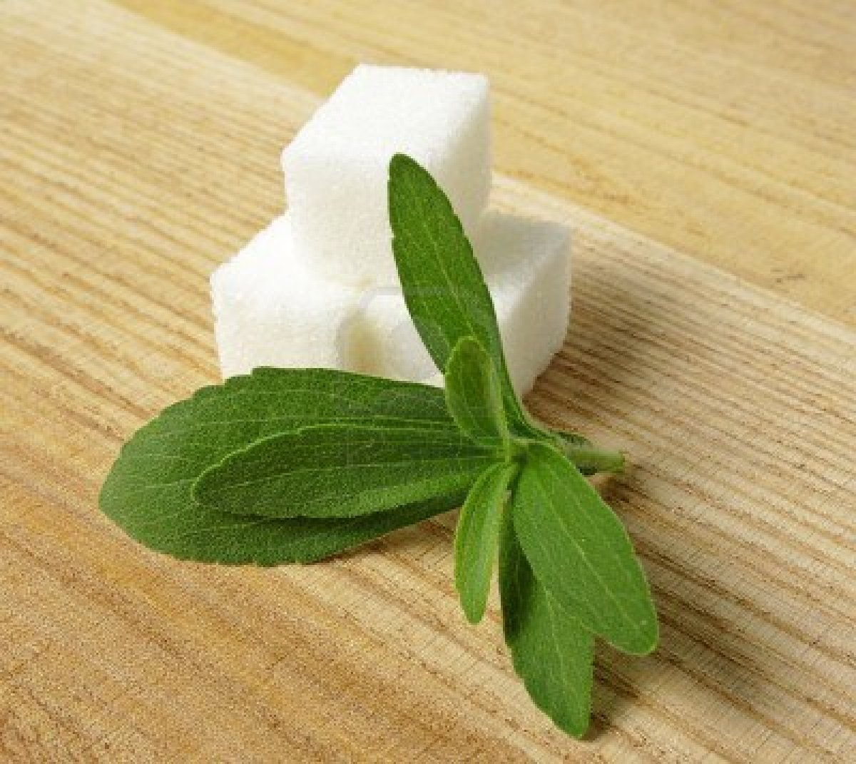 La stevia y sus propiedades 