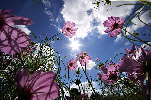 Planes para la primavera 